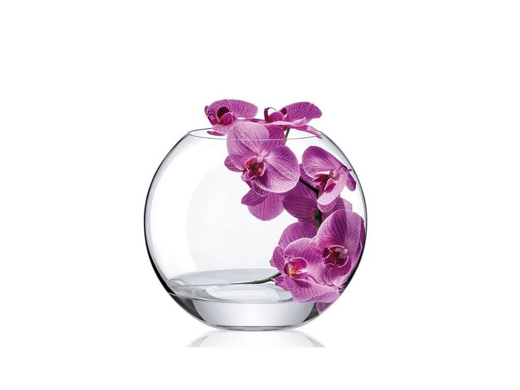 Curabitur bibendum justo non orci