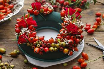 Curabitur bibendum justo non orci