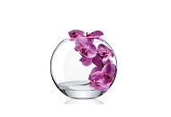 Rona Skleněná váza KOULE 240 mm